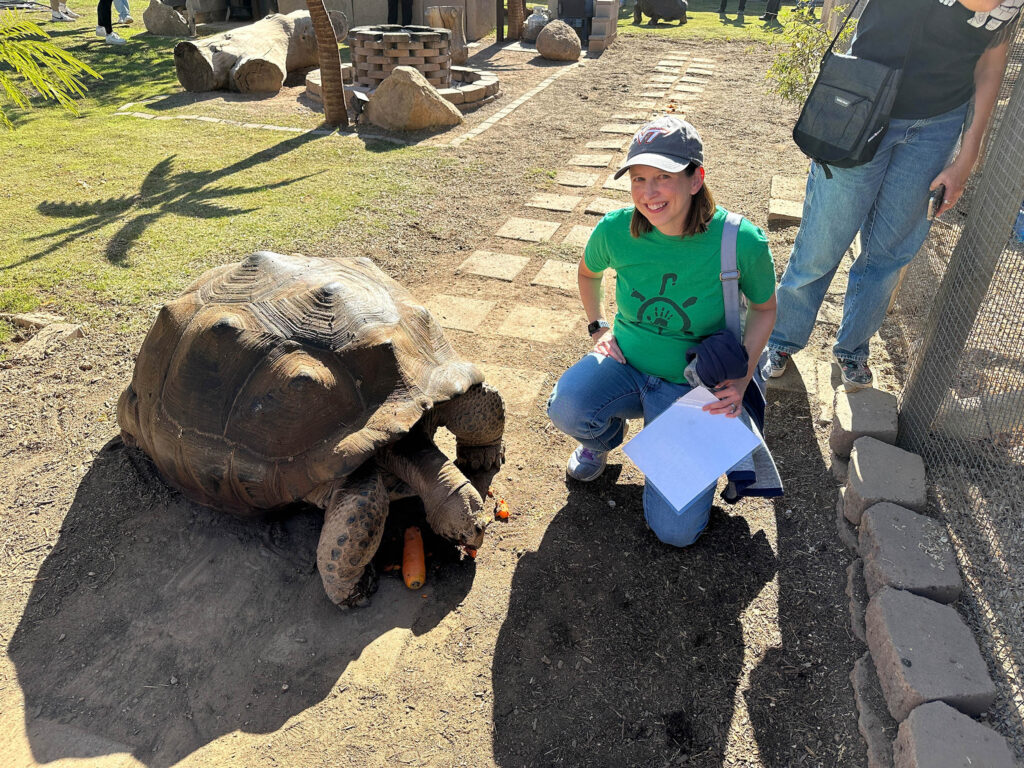 Arizona Tortoise Compound